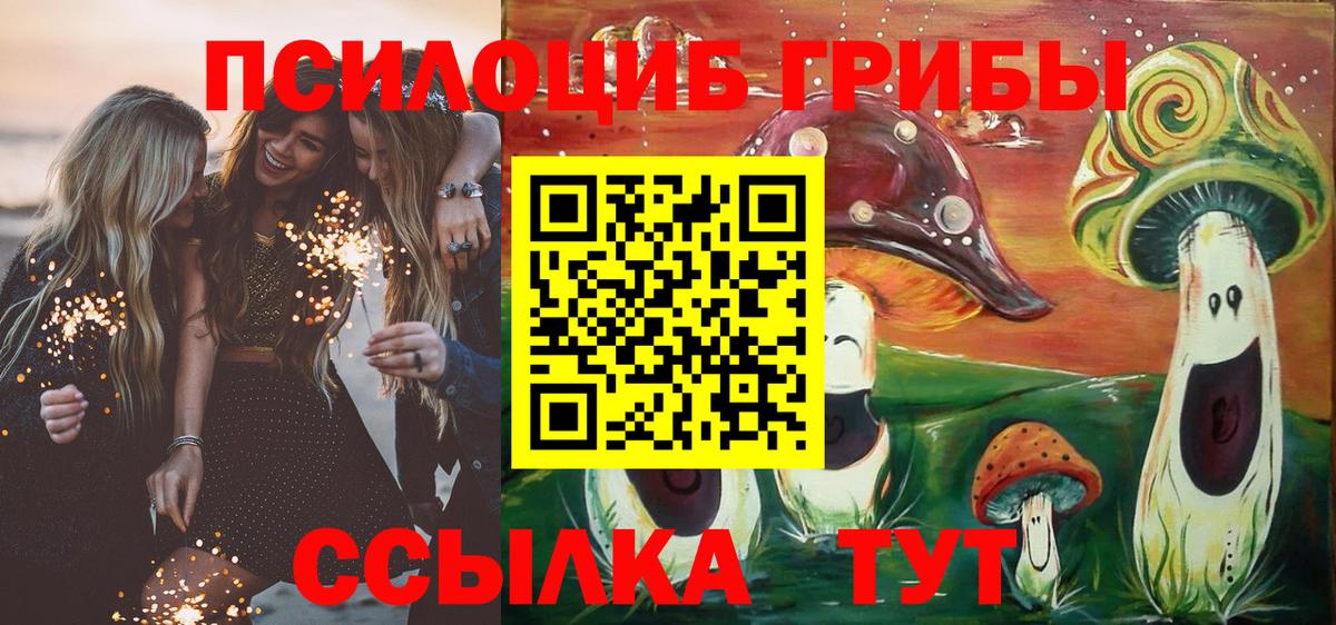 Галлюциногенные грибы Cubensis Ипатово